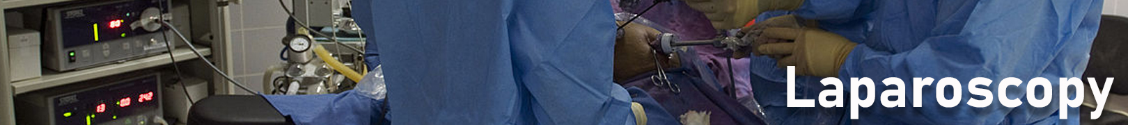 Laparoscopy