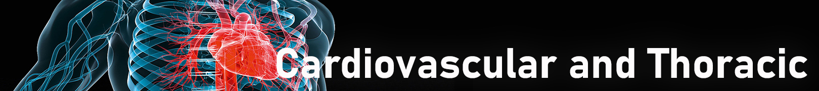 cardiovascular and thoracic