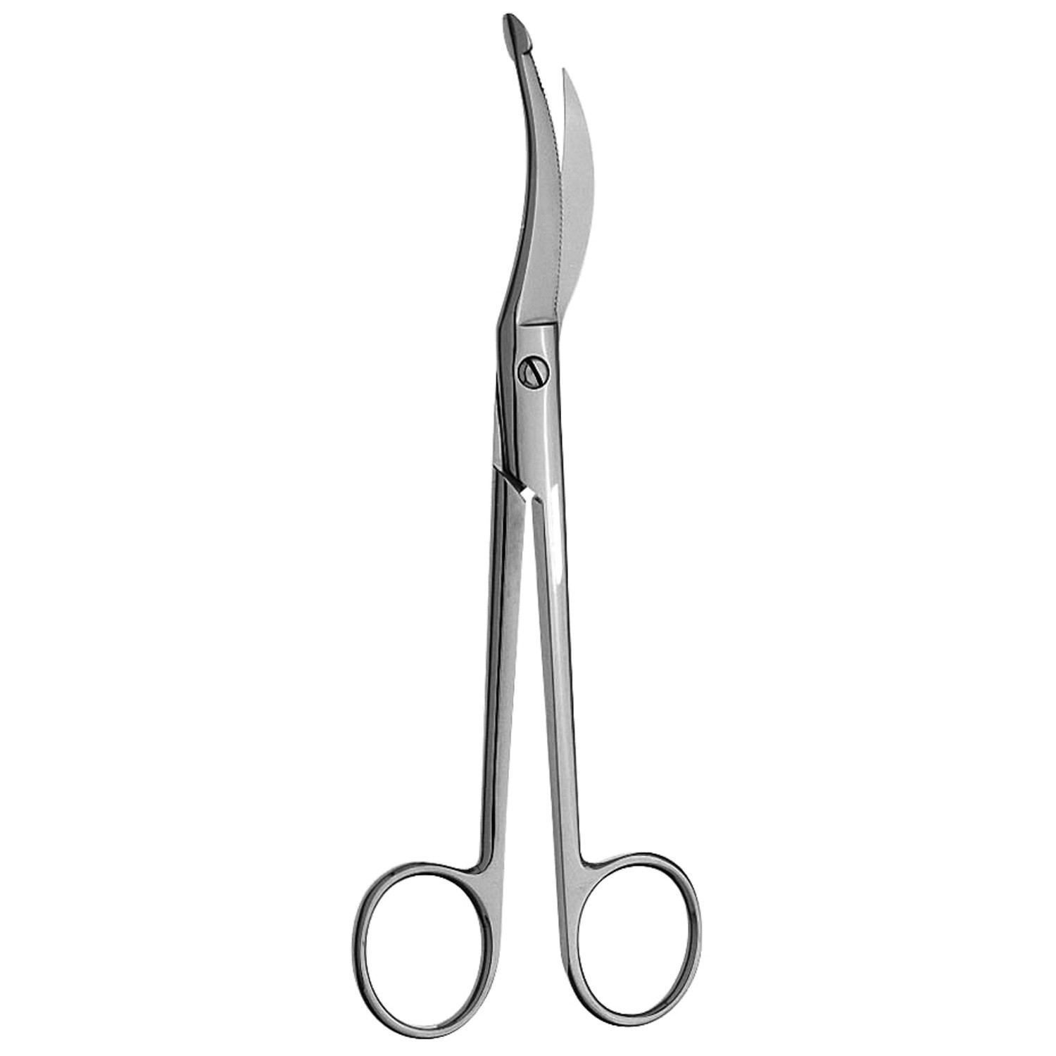 Waldmann Episiotomy Scissors, Serrated Blade, 7 1/8" (18.0 Cm)