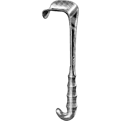 Kelly Retractor, Standard Handle, 10 1/4" (26.0 Cm), 1 1/2" Wide X 2" Deep